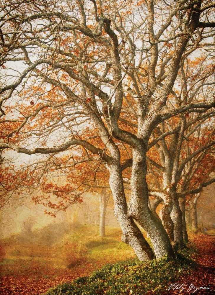 In the Mist II art print by Vitaly Geyman for $57.95 CAD