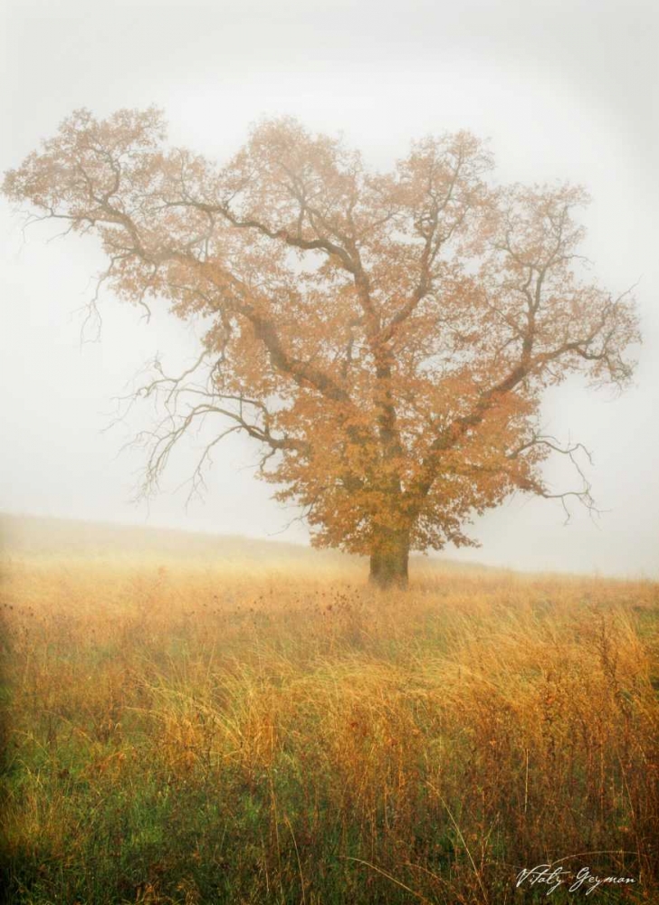 Autumn Mist II art print by Vitaly Geyman for $57.95 CAD