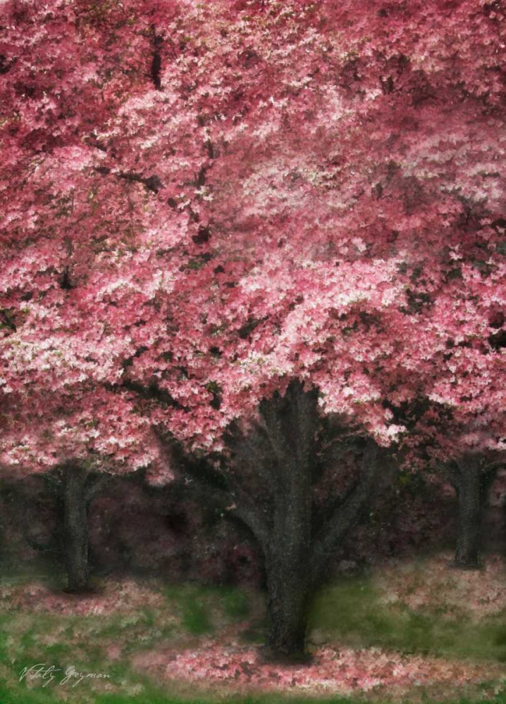 Pink Dogwood III art print by Vitaly Geyman for $57.95 CAD