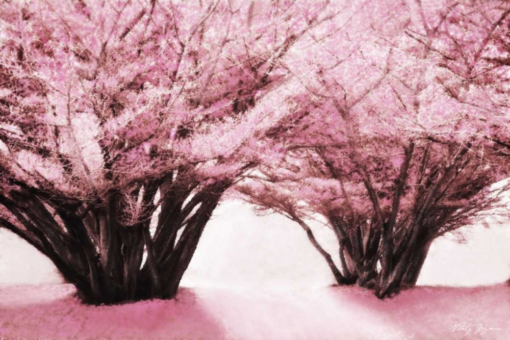 Blossom Heaven II art print by Vitaly Geyman for $57.95 CAD