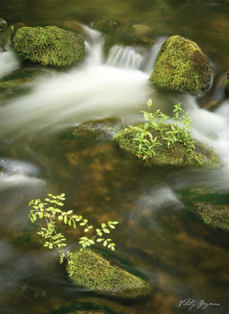 Soothing Waters III art print by Vitaly Geyman for $57.95 CAD