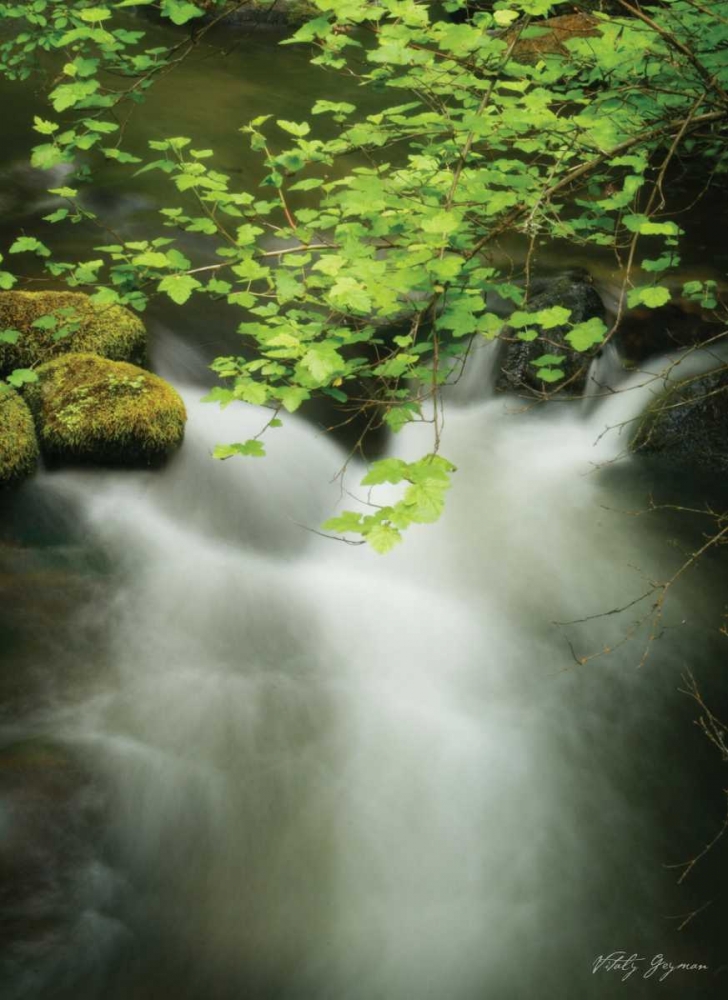 Soothing Waters V art print by Vitaly Geyman for $57.95 CAD