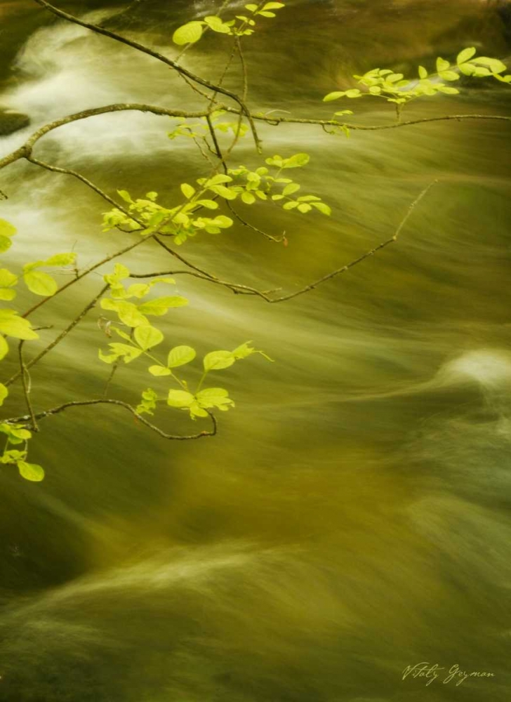 Soothing Waters VII art print by Vitaly Geyman for $57.95 CAD