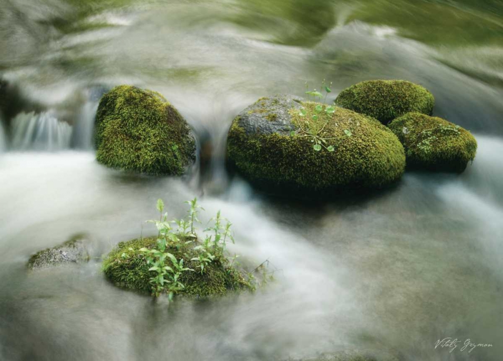 Soothing Waters XVI art print by Vitaly Geyman for $57.95 CAD