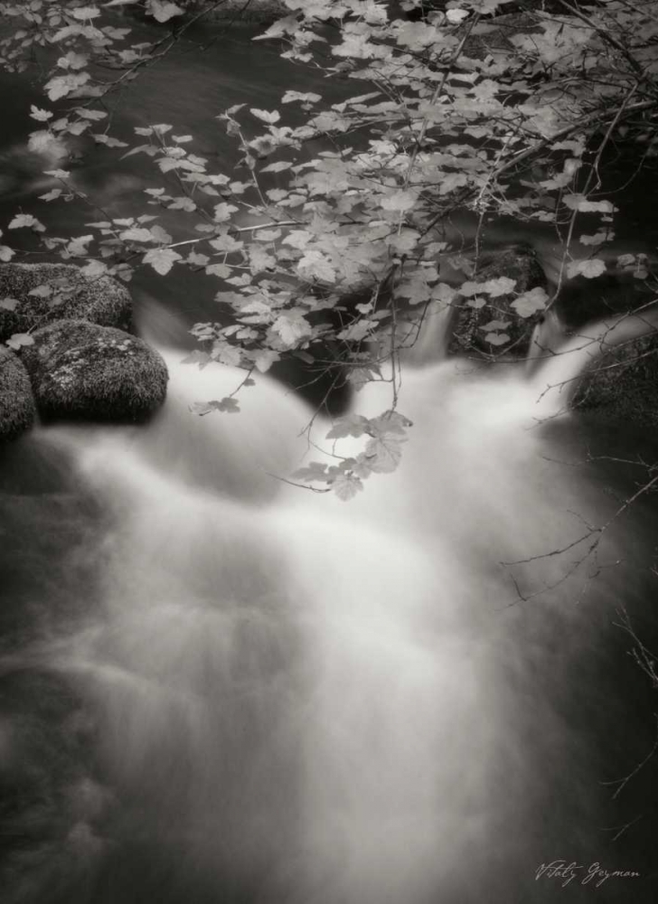 Flowing Waters III art print by Vitaly Geyman for $57.95 CAD