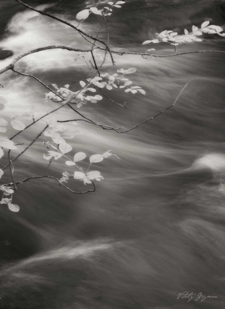 Flowing Waters IV art print by Vitaly Geyman for $57.95 CAD