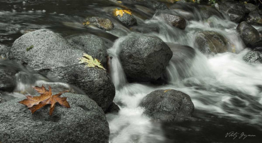 Silver Falls II art print by Vitaly Geyman for $57.95 CAD