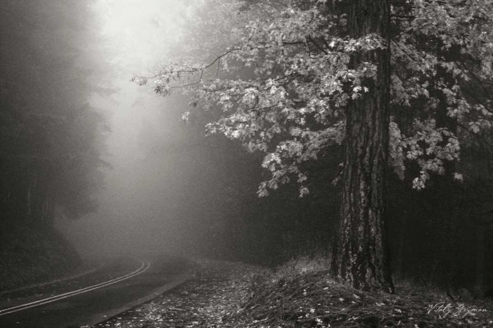 Misty Yellow Tree BandW art print by Vitaly Geyman for $57.95 CAD
