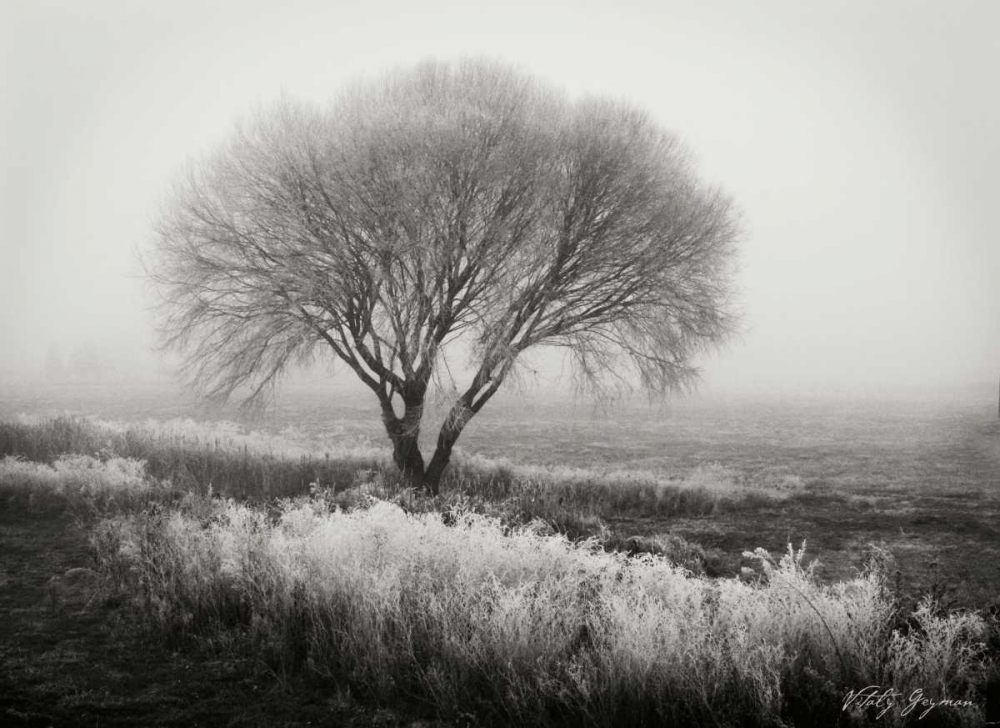 Tranquility I BandW art print by Vitaly Geyman for $57.95 CAD