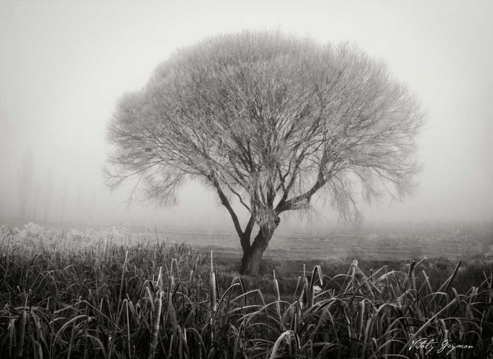 Tranquility III BandW art print by Vitaly Geyman for $57.95 CAD