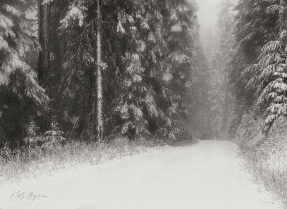 Winter Pine Tree Paradise BandW art print by Vitaly Geyman for $57.95 CAD