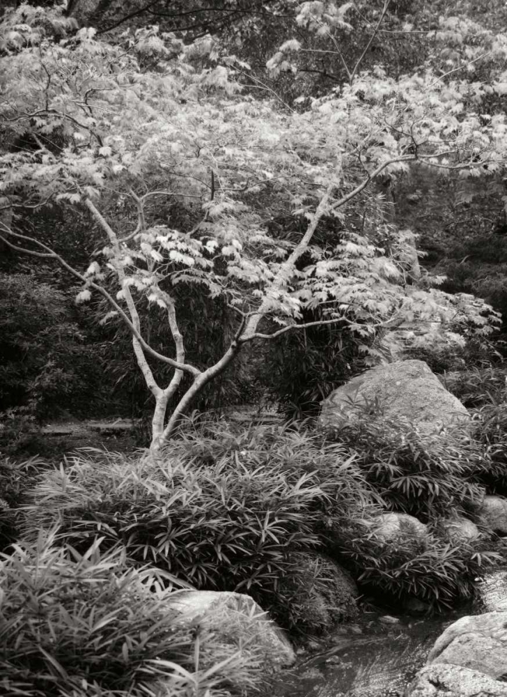 Japanese Park I BandW art print by Vitaly Geyman for $57.95 CAD