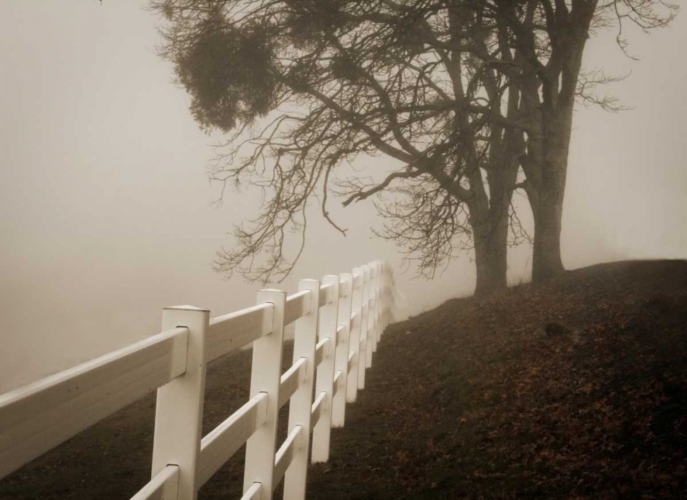 Into the Fog art print by Vitaly Geyman for $57.95 CAD