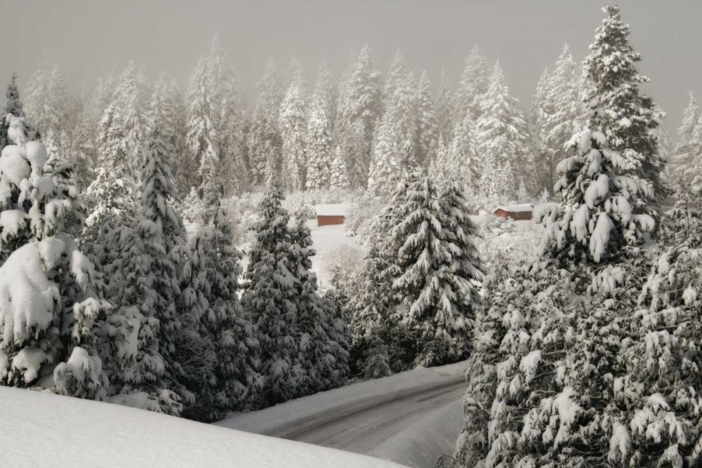 Mt. Ashland Rd art print by Vitaly Geyman for $57.95 CAD
