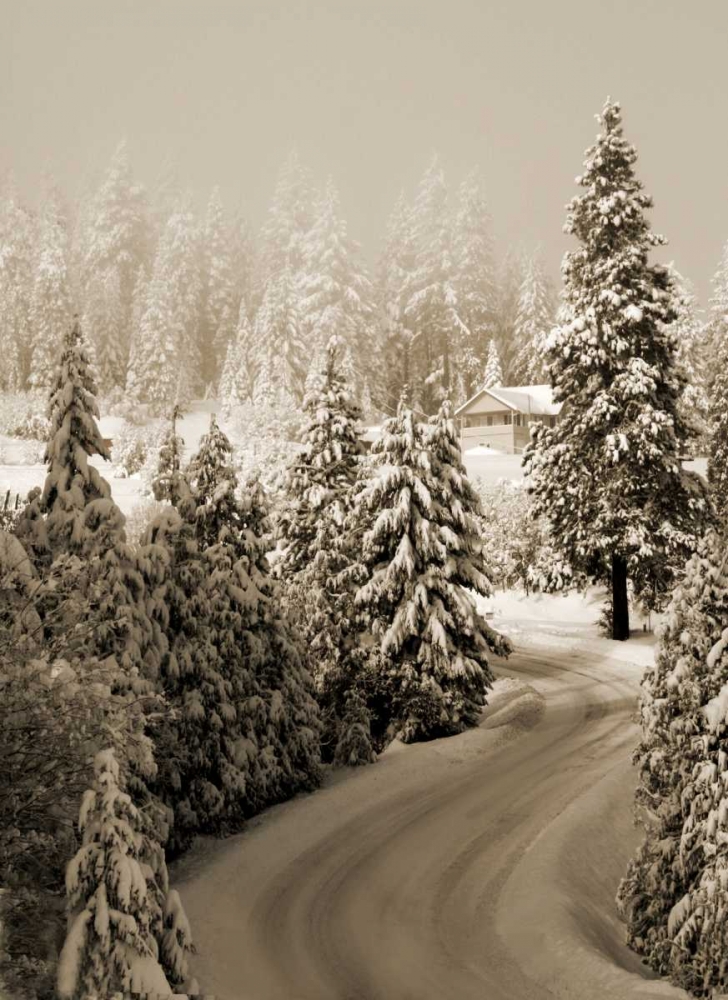 Mt. Ashland Rd II art print by Vitaly Geyman for $57.95 CAD