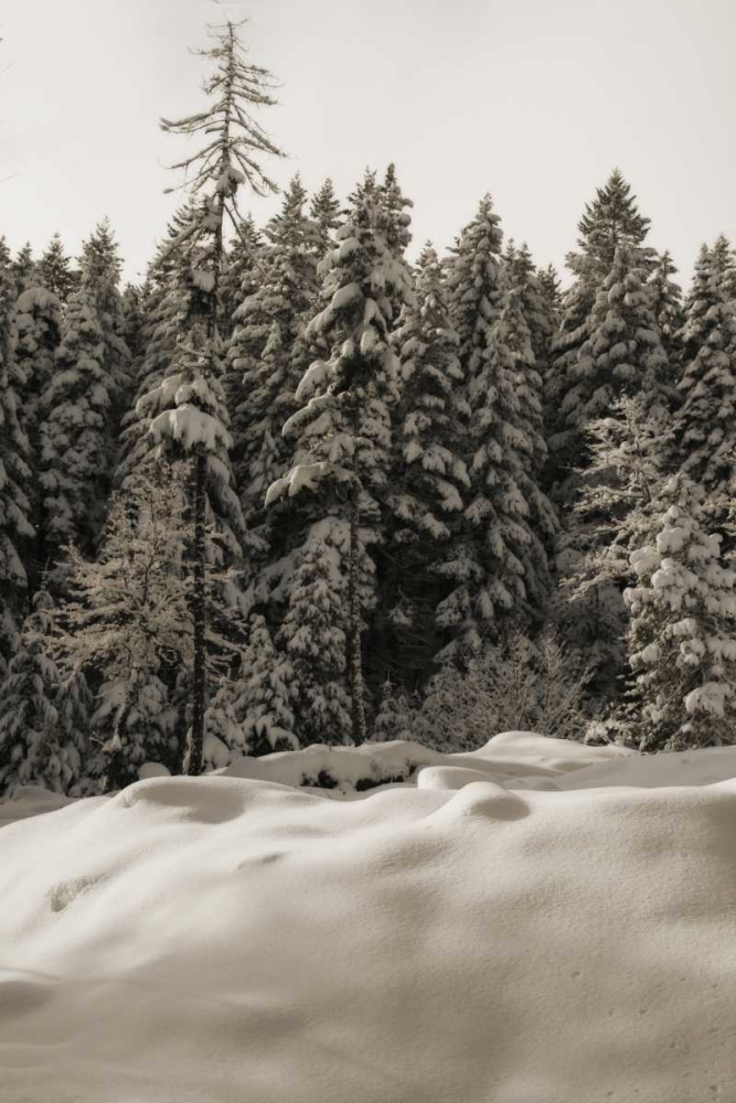 Snow Castle art print by Vitaly Geyman for $57.95 CAD