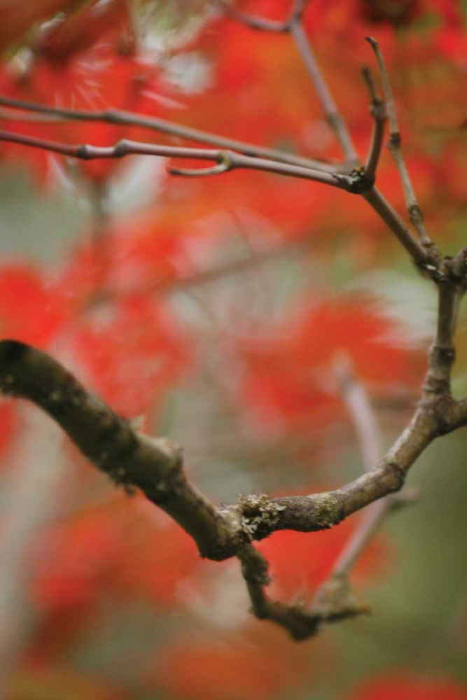 Autumn Tree Dance I art print by Vitaly Geyman for $57.95 CAD
