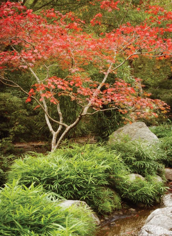 Japanese Park I art print by Vitaly Geyman for $57.95 CAD