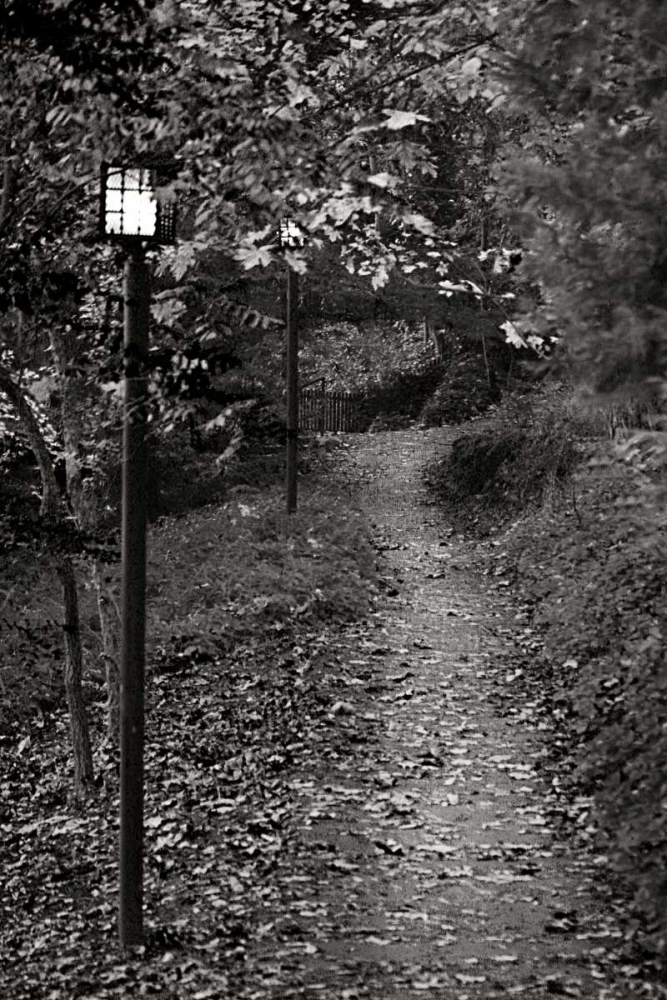 Autumn Path I BandW art print by Vitaly Geyman for $57.95 CAD