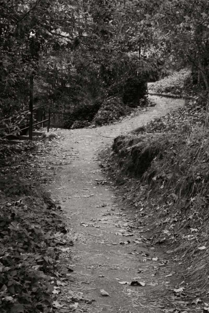 Autumn Path II BandW art print by Vitaly Geyman for $57.95 CAD
