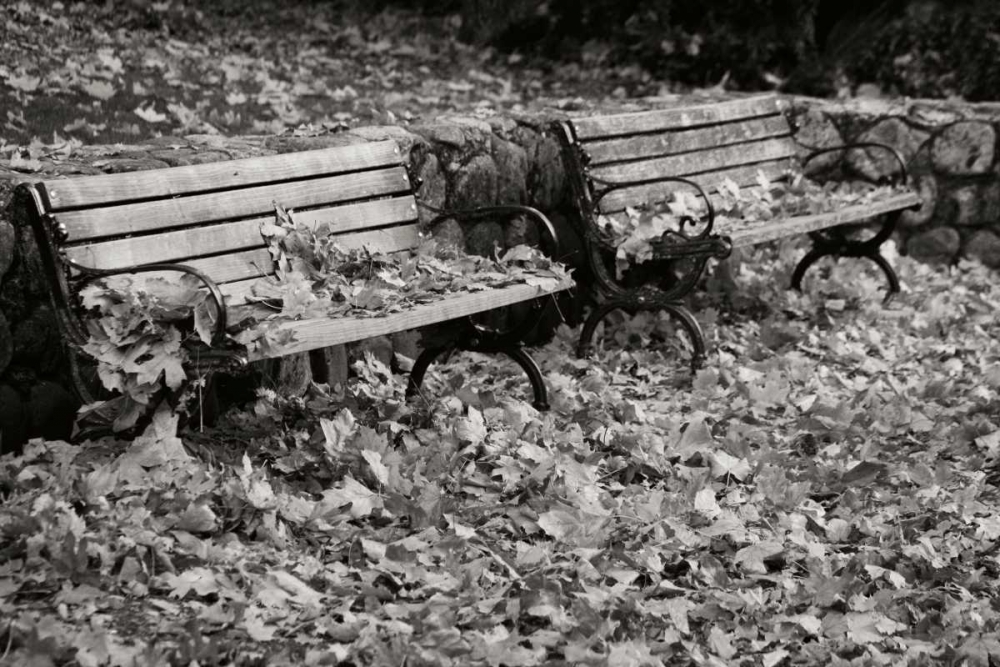 Autumn Paradise I BandW art print by Vitaly Geyman for $57.95 CAD