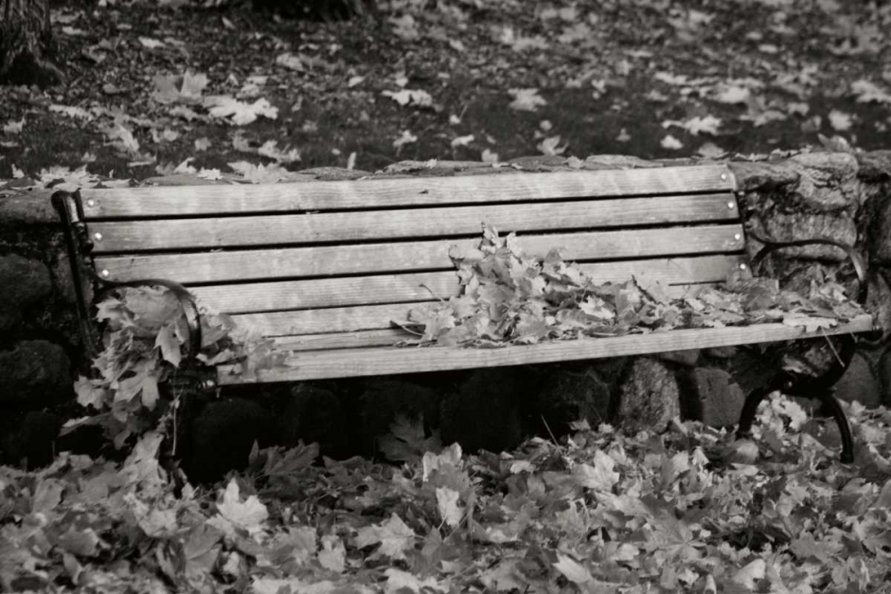 Autumn Paradise II BandW art print by Vitaly Geyman for $57.95 CAD