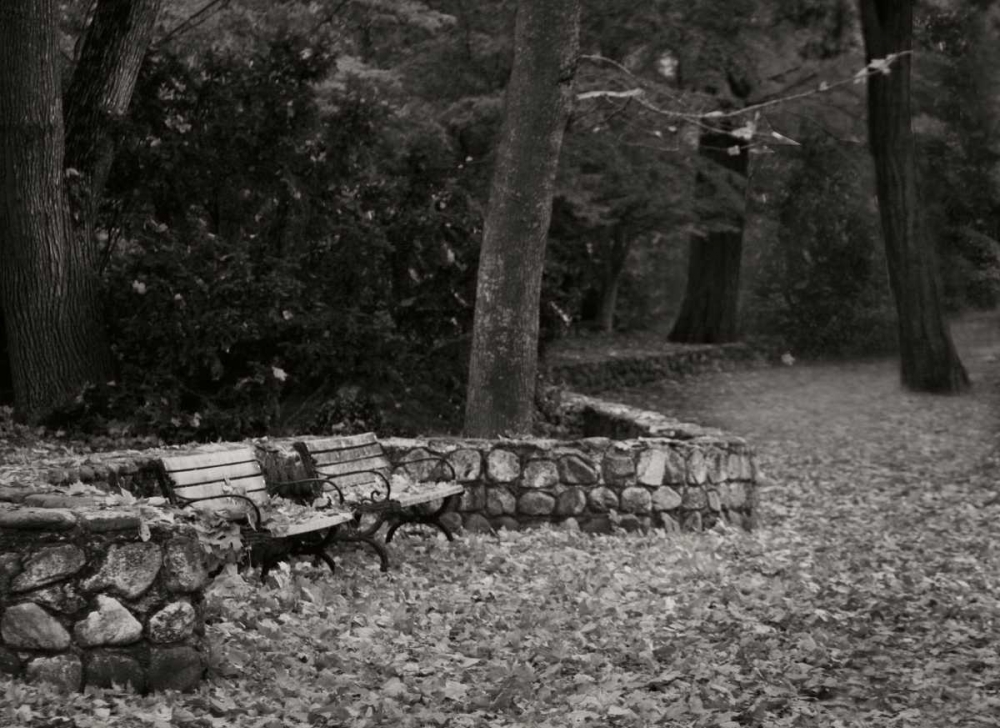Autumn Paradise III BandW art print by Vitaly Geyman for $57.95 CAD