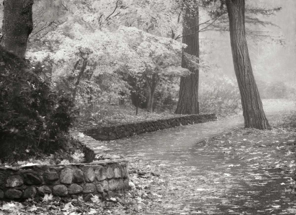 Autumn Paradise IV BandW art print by Vitaly Geyman for $57.95 CAD