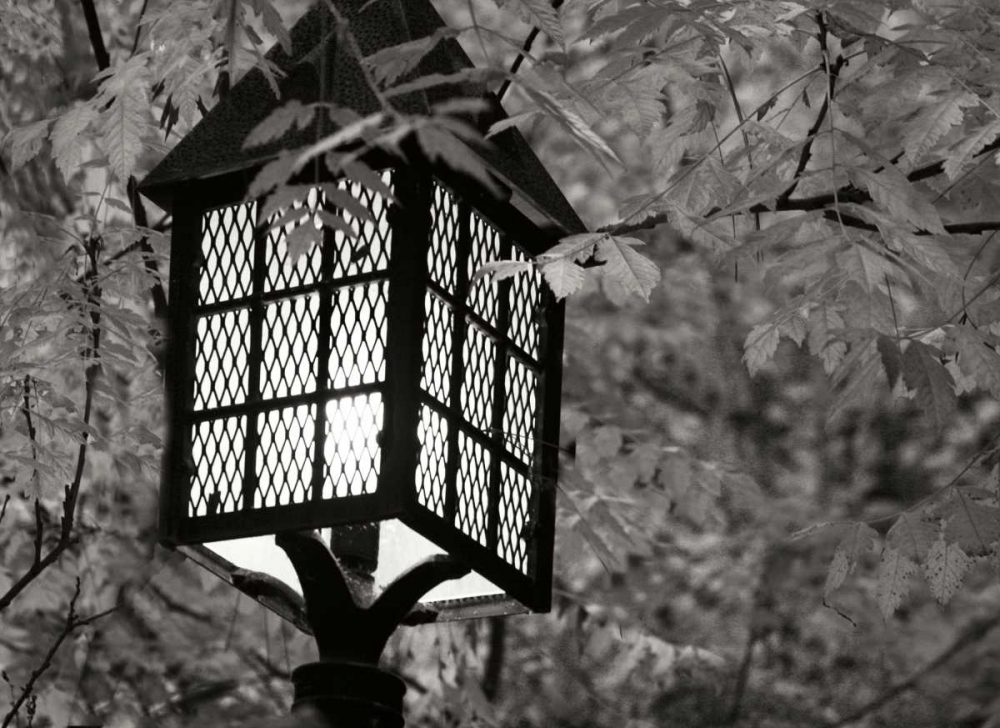 Fall Lighting I BandW art print by Vitaly Geyman for $57.95 CAD
