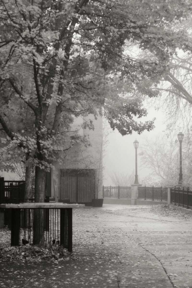 Fall Plaza IV BandW art print by Vitaly Geyman for $57.95 CAD