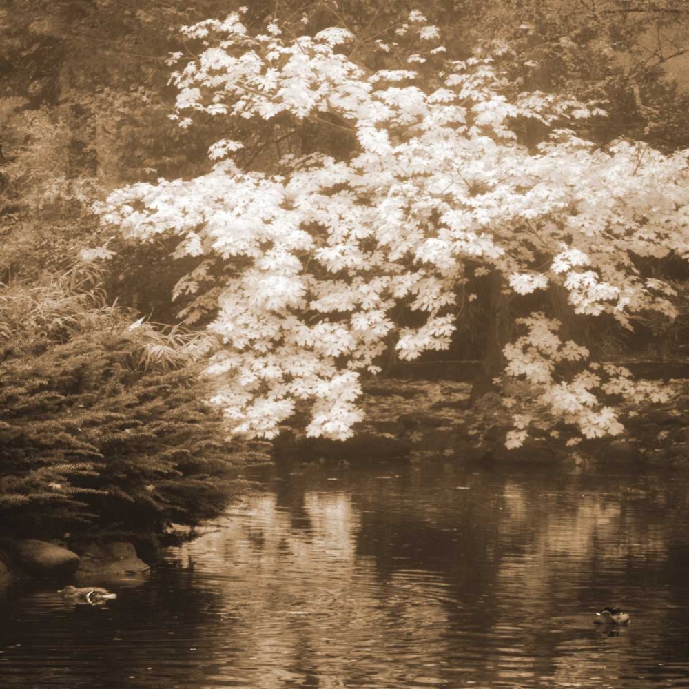 Autumn Reflections I art print by Vitaly Geyman for $57.95 CAD