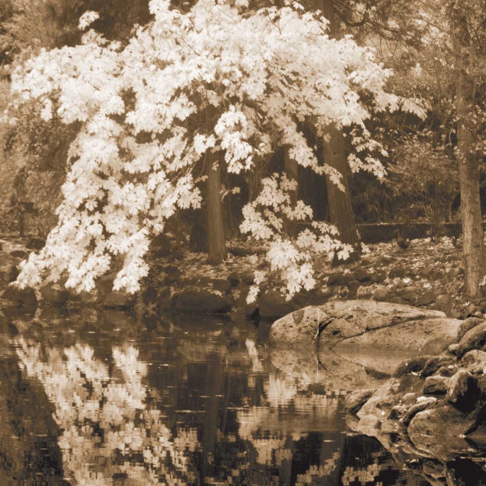 Autumn Reflections II art print by Vitaly Geyman for $57.95 CAD