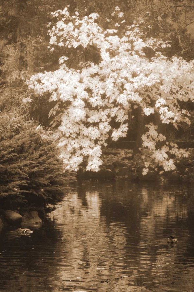 Autumn Reflections I art print by Vitaly Geyman for $57.95 CAD