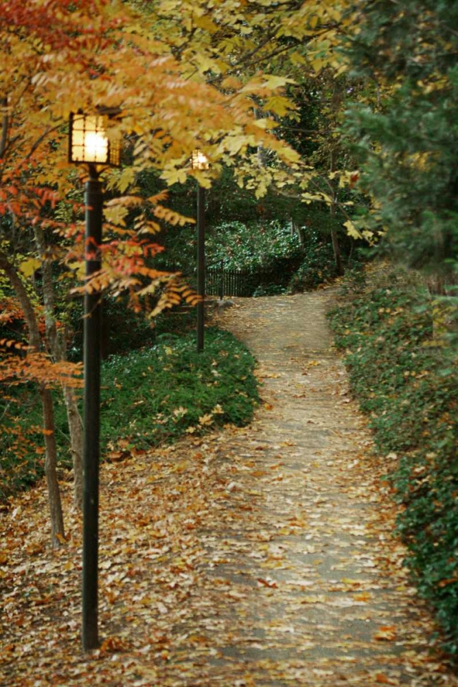 Autumn Path I art print by Vitaly Geyman for $57.95 CAD