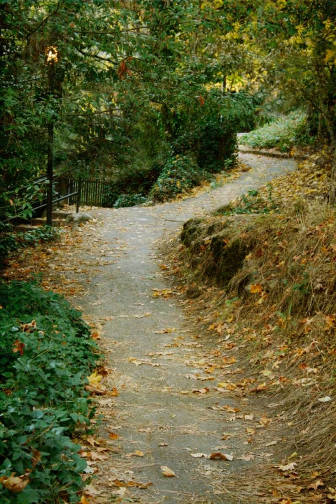 Autumn Path II art print by Vitaly Geyman for $57.95 CAD