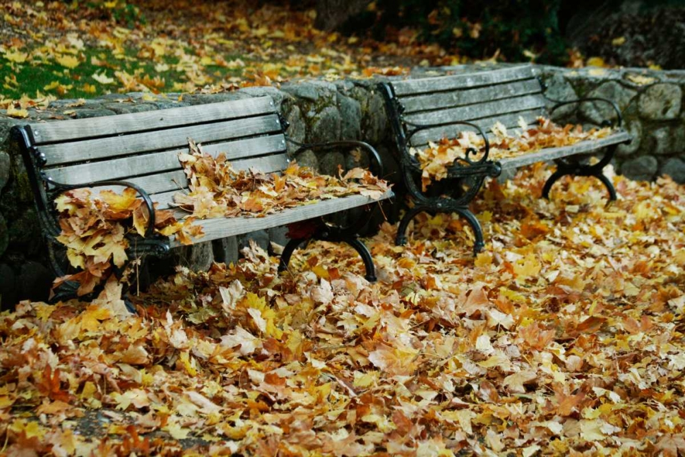 Autumn Paradise I art print by Vitaly Geyman for $57.95 CAD