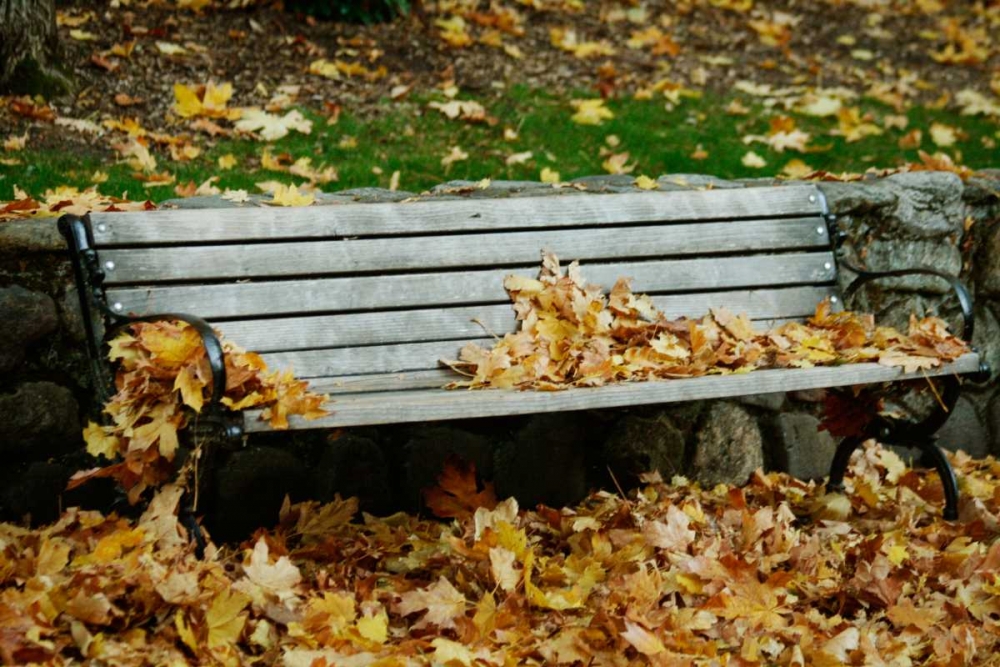 Autumn Paradise II art print by Vitaly Geyman for $57.95 CAD