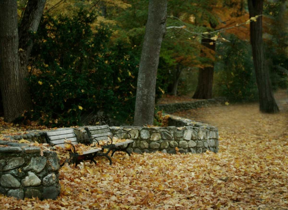 Autumn Paradise III art print by Vitaly Geyman for $57.95 CAD