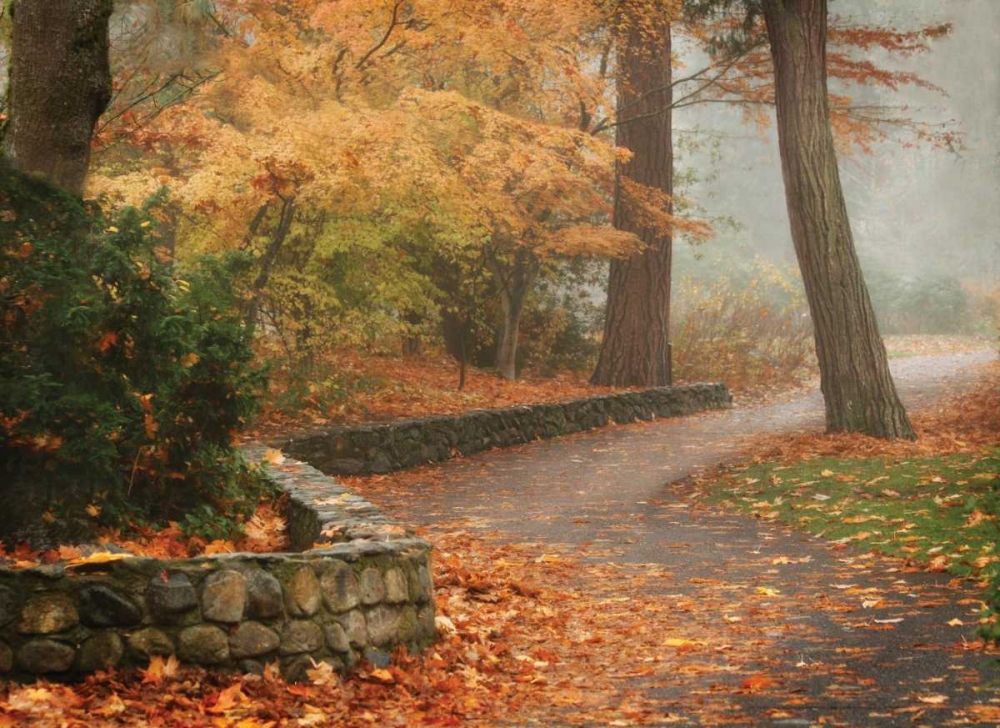 Autumn Paradise IV art print by Vitaly Geyman for $57.95 CAD
