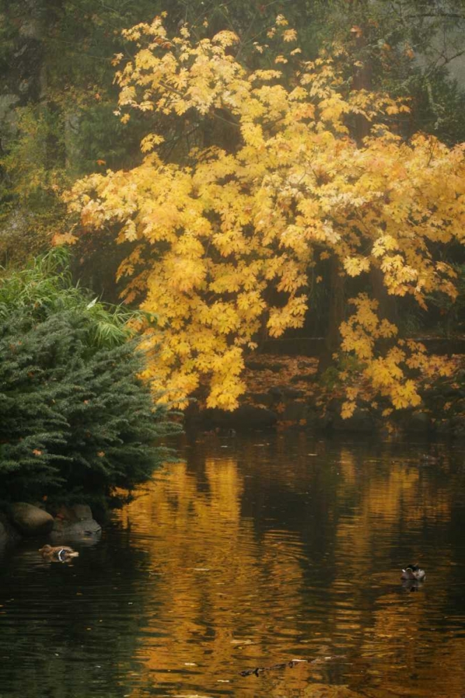 Autumn Reflections I art print by Vitaly Geyman for $57.95 CAD