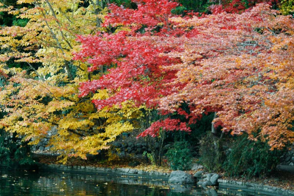 Autumn Trio I art print by Vitaly Geyman for $57.95 CAD