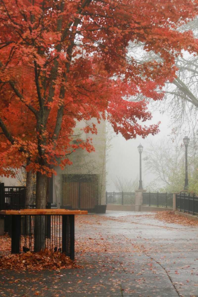 Fall Plaza IV art print by Vitaly Geyman for $57.95 CAD