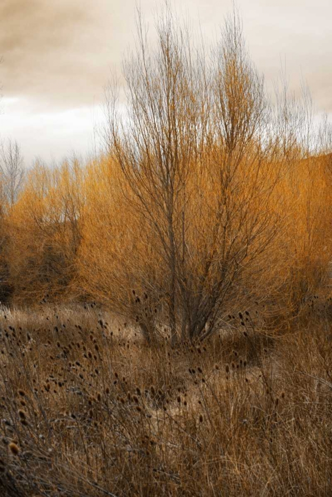 Spring Serenity I art print by Vitaly Geyman for $57.95 CAD