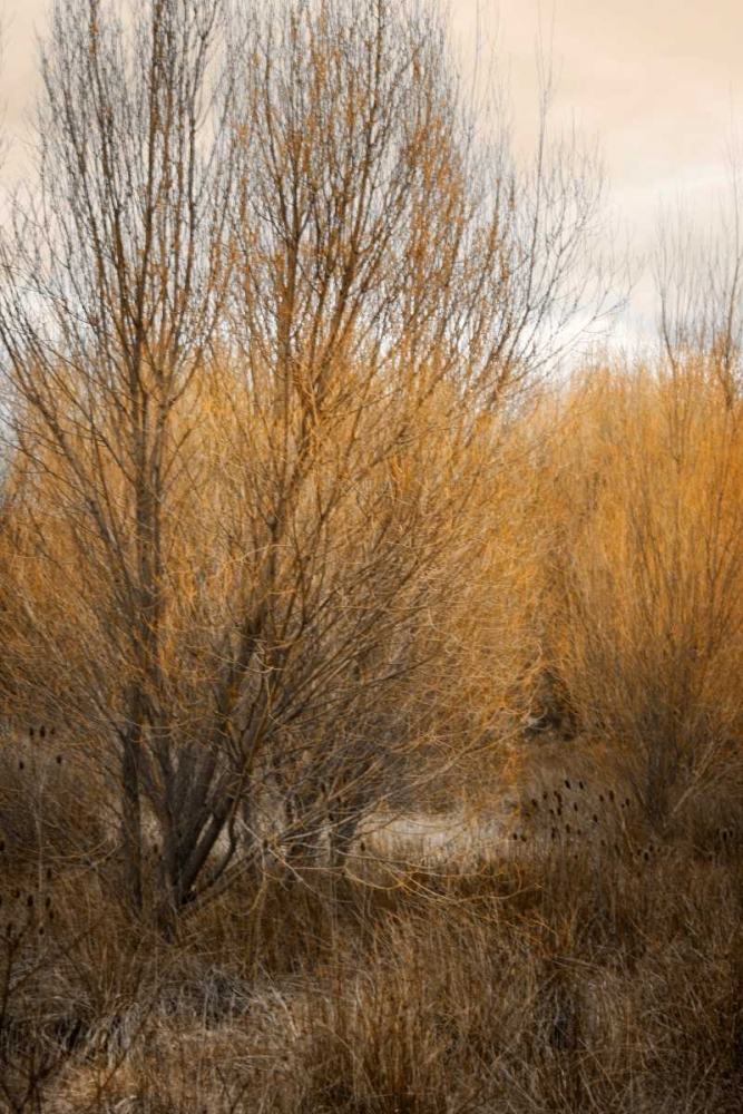 Spring Serenity II art print by Vitaly Geyman for $57.95 CAD