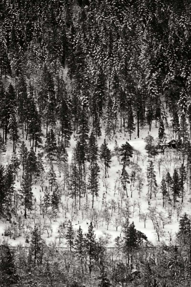 Winter Mosaic II art print by Vitaly Geyman for $57.95 CAD