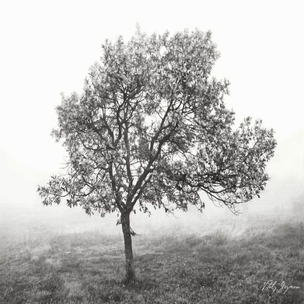 Burning Oak BW VI art print by Geyman Vitaly for $57.95 CAD