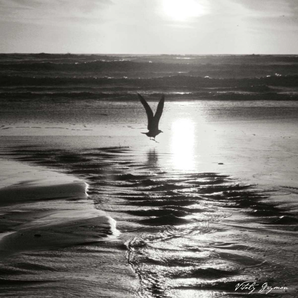 Sunset Bird Sq BW art print by Geyman Vitaly for $57.95 CAD