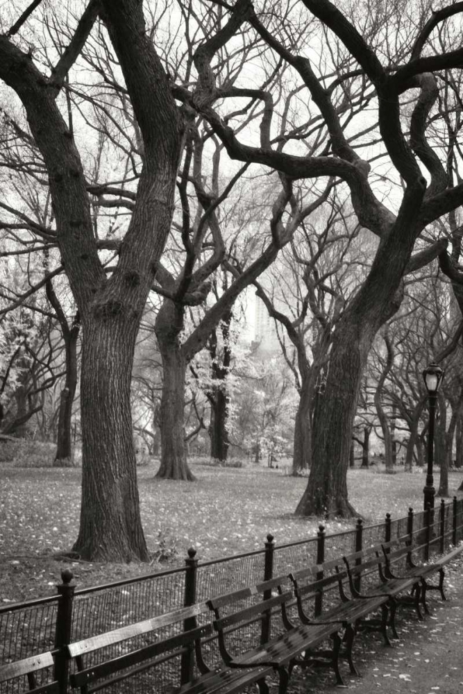 Central Park Dancers I art print by Geyman Vitaly for $57.95 CAD