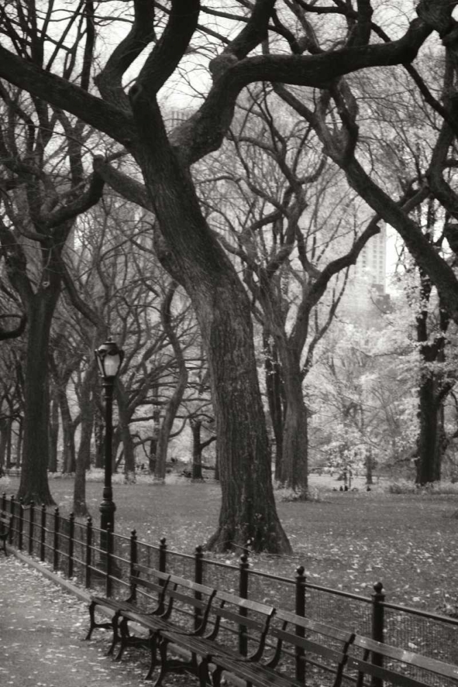 Central Park Dancers II art print by Geyman Vitaly for $57.95 CAD