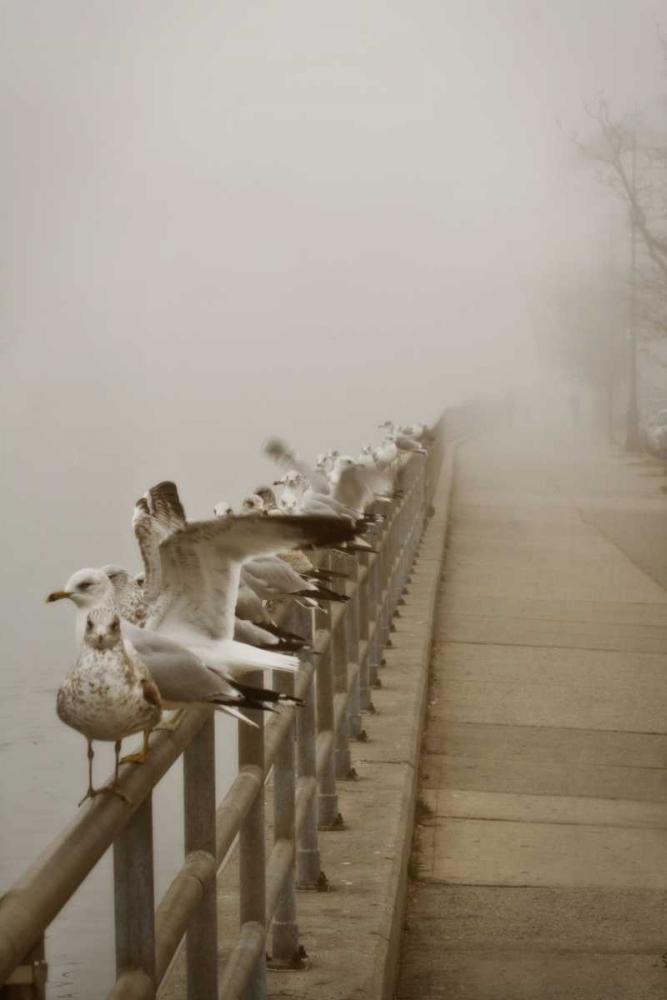 Seagul Paradise II art print by Geyman Vitaly for $57.95 CAD